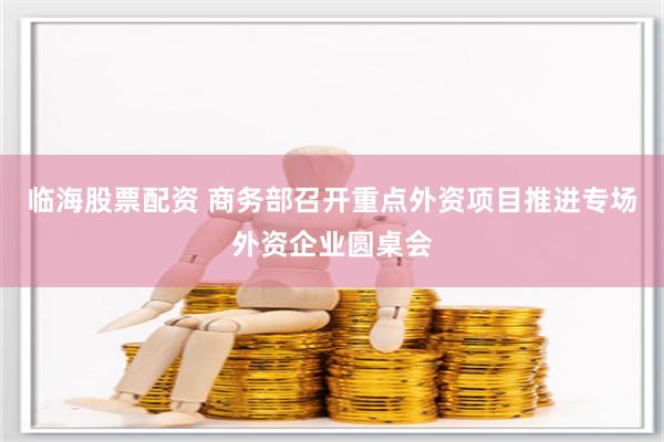 临海股票配资 商务部召开重点外资项目推进专场外资企业圆桌会